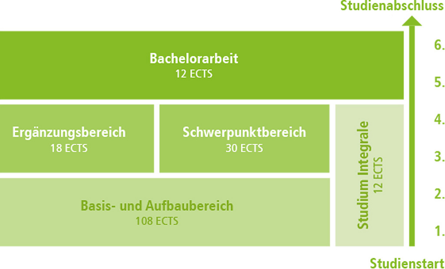 grafischer Überblick über den Bachelorstudiengang BWL der WiSo-Fakultät der Universität zu Köln (barrierefrei im Modulhandbuch)