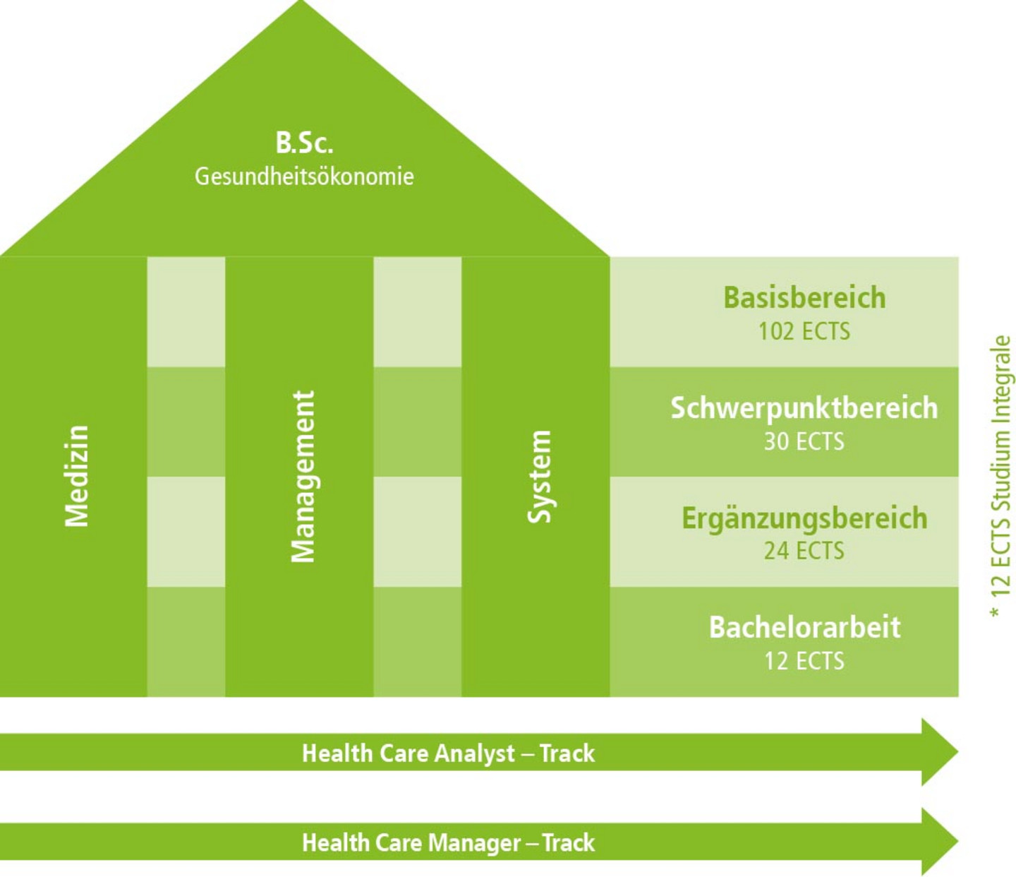 Graphic overview of the curriculum of the Bachelor's programme In Helath Economics