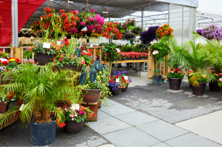 Bild von einem Blumenverkauf.