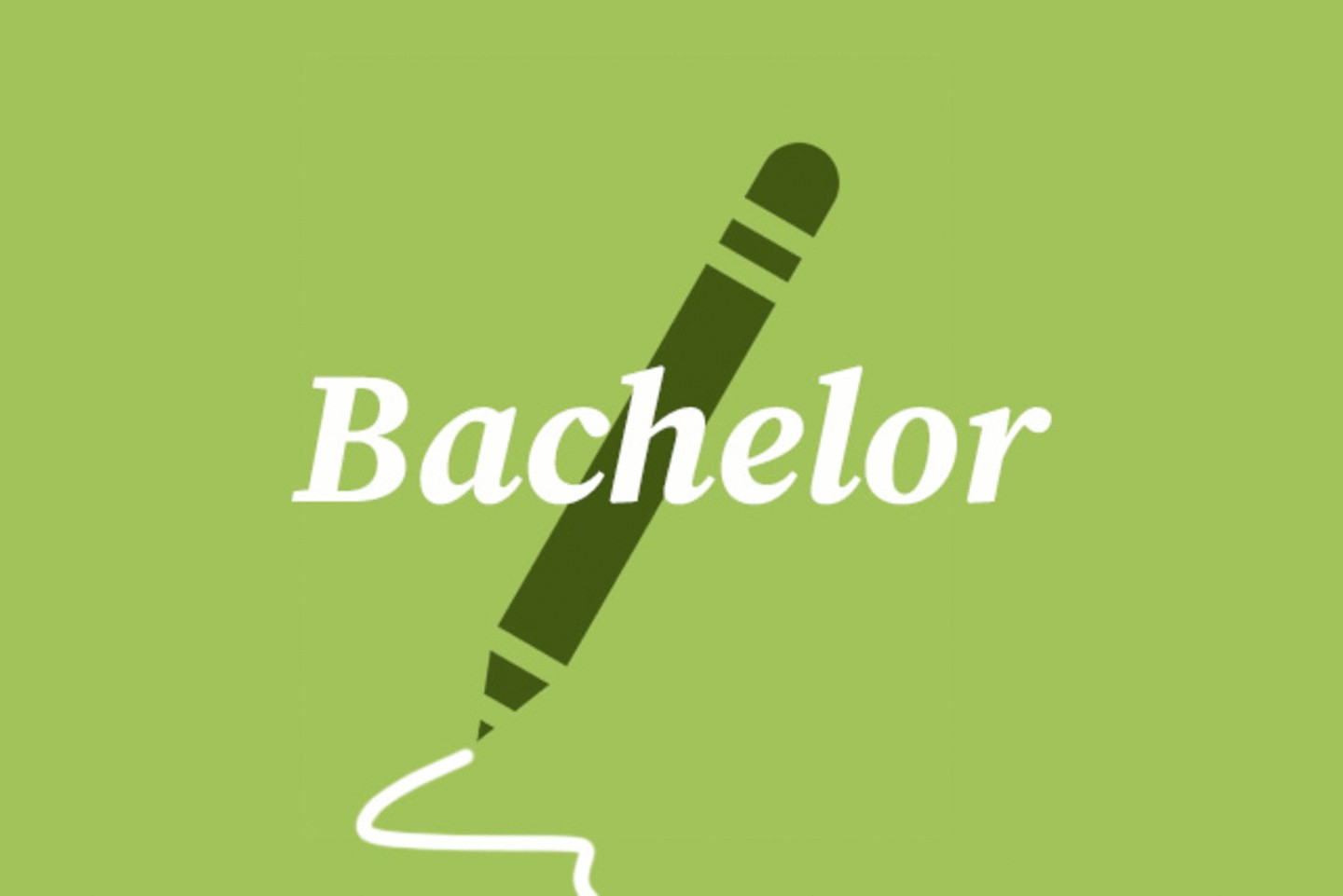 Bachelor's Degree