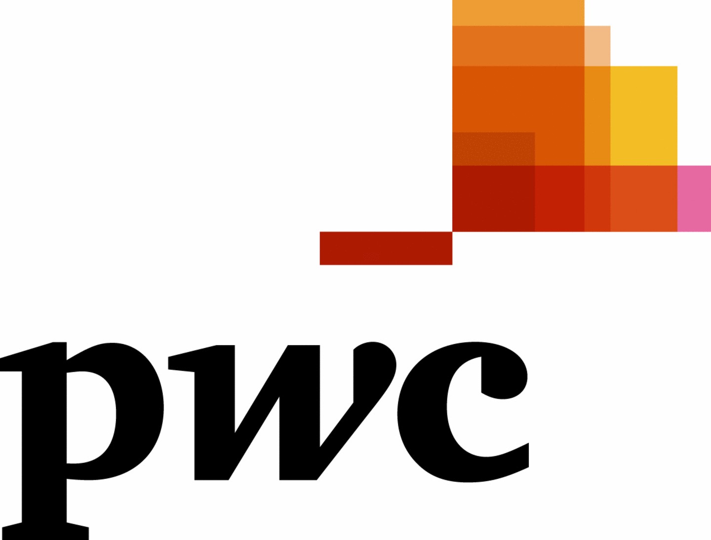 Workshop PWC